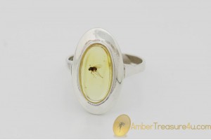 Genuine BALTIC AMBER Silver Ring 7.75 - 18mm w Fossil Inclusion - FLY