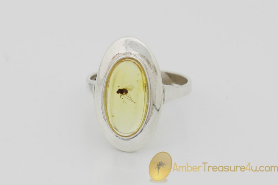 Genuine BALTIC AMBER Silver Ring 7.75 - 18mm w Fossil Inclusion - FLY
