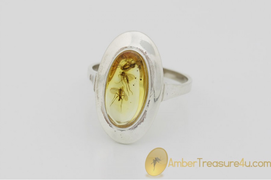 Genuine BALTIC AMBER Silver Ring 8.5 - 18.5mm w Fossil Inclusions - 3 FUNGUS GNATS Genuine BALTIC AMBER Silver Ring 8.5 - 18.5mm w Fossil Inclusions - 3 FUNGUS GNATS