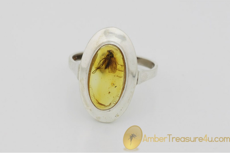 Genuine BALTIC AMBER Silver Ring 8.5 - 18.5mm w Fossil Inclusion - GNAT Genuine BALTIC AMBER Silver Ring 8.5 - 18.5mm w Fossil Inclusion - GNAT
