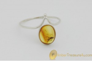 Genuine BALTIC AMBER Silver Ring 7.75 - 18mm w Fossil Inclusion - WINGED ANT