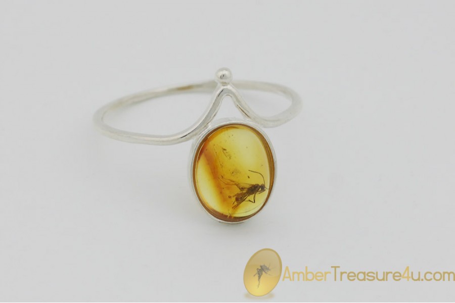 Genuine BALTIC AMBER Silver Ring 7.75 - 18mm w Fossil Inclusion - WINGED ANT