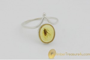 Genuine BALTIC AMBER Silver Ring 5.5 - 16mm w Fossil Inclusion - LONG LEGGED FLY