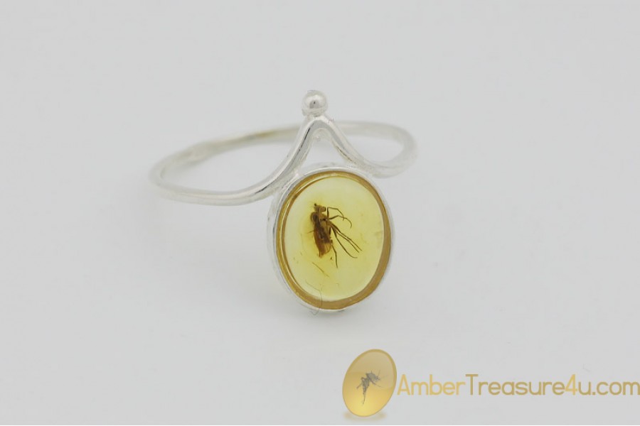 Genuine BALTIC AMBER Silver Ring 5.5 - 16mm w Fossil Inclusion - LONG LEGGED FLY