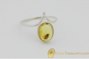 Genuine BALTIC AMBER Silver Ring 5 - 16.5mm w Fossil Inclusion - GNAT