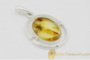 Large Genuine BALTIC AMBER Silver Pendant w Fossil Inclusion - SPIDER