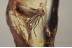 BIBIONIDAE Huge March Fly Inclusion in BALTIC AMBER 1627