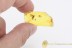 LEPIDOPTERA Nice Spread Wings Moth in BALTIC AMBER 1680