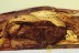LEPIDOPTERA Giant Moth Inclusion in BALTIC AMBER 1681