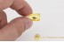 ARANEIDAE Orb-Weaver Spider in BALTIC AMBER 1652