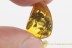 APIDAE 3 Honey Bees Inclusion Genuine BALTIC AMBER 1750