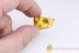 REPTILIA Lizard Skin Large Fragment Inclusion BALTIC AMBER 1932