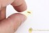 DIPTERAN Unusual Larvae Superb Well Preserved BALTIC AMBER 1942