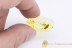 ZOPHERIDAE Superb Ironclad Beetle w Leaf BALTIC AMBER 1956