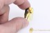 PIPUNCULIDAE Big-Headed FLY  Piercer like Ovipositor BALTIC AMBER 1977
