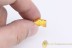 CERATOPOGONIDAE Brachypogon Superb Biting Midge BALTIC AMBER 1981