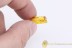 LIMONIIDAE 100% Mating Crane Flies Inclusion BALTIC AMBER 1992