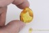 LEPIDOPTERA Great Moth CATERPILLAR Inclusion BALTIC AMBER 2037