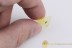 LEPIDOPTERA Nice Moth Fossil Inclusion  BALTIC AMBER 2034