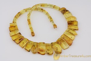 All Beads with FOSSIL INSECTS - Genuine BALTIC AMBER Choker