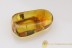 DIPLOPODA Large Millipede Fossil Inclusion BALTIC AMBER 2046