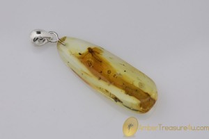 Genuine BALTIC AMBER Silver Pendant w Fossil Inclusion - MAYFLY 