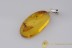 Genuine BALTIC AMBER Silver Pendant w Fossil Inclusion - SPIDER