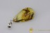 Genuine BALTIC AMBER Silver Pendant w Fossil Inclusion - SNIPE FLY