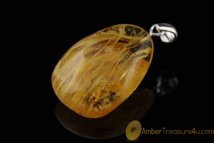Genuine BALTIC AMBER Silver Pendant w Fossil Inclusion - CRANE FLY Genuine BALTIC AMBER Silver Pendant w Fossil Inclusion - CRANE FLY