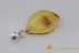 Genuine BALTIC AMBER Silver Pendant w Fossil Inclusion - SPIDER