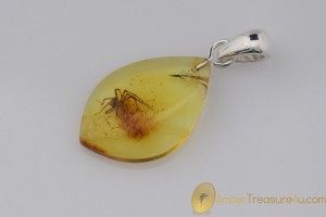 Genuine BALTIC AMBER Silver Pendant w Fossil Inclusion - SPIDER