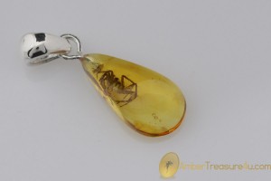 Genuine BALTIC AMBER Silver Pendant w Fossil Inclusion - SPIDER