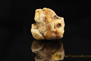 Natural Rare Butterscotch & White  Genuine BALTIC AMBER Stone