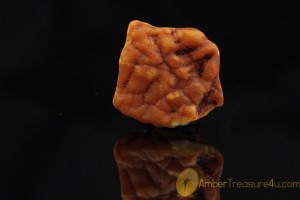 Natural Rare Butterscotch Genuine BALTIC AMBER Stone