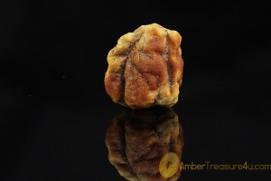 Natural Rare Butterscotch Genuine BALTIC AMBER Stone