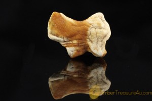 Natural Rare Butterscotch & White Genuine BALTIC AMBER Stone