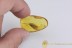 LEPIDOPTERA Huge Moth 10mm Inclusion BALTIC AMBER 2086