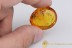 RHAGIONIDAE Blood Sucking Snipe Fly & More BALTIC AMBER 2119