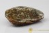 Large Greenish Color Genuine BALTIC AMBER Stone
