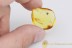 Beautiful Blooming FLOWER Inclusion BALTIC AMBER 2142