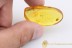 PASSANDRIDAE Parasitic Flat Bark Beetle BALTIC AMBER 2149