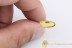 ZOPHERIDAEGreat Ironclad Beetle Inclusion BALTIC AMBER 2153