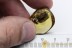 PINACEAE Great Large Pine Cone Fossil BALTIC AMBER 2196