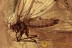 NEVRORTHIDAE Lacewing Fossil Inclusion BALTIC AMBER 2207
