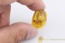 NEVRORTHIDAE Lacewing Fossil Inclusion BALTIC AMBER 2207