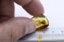 LEPIDOPTERA Large Moth & Beetle BALTIC AMBER 2258