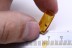 NEOBISIDAE Nice Pseudoscorpion & Gnat Inclusion BALTIC AMBER 2295