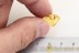 SISYRIDAE Aquatic Neuroptera Larvae Extremely Rare BALTIC AMBER 2380