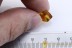 Parasitic Mite suck to Long Legged Fly BALTIC AMBER 2312