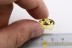 STAPHYLINIDAE Philonthus Quedius Rove Beetle BALTIC AMBER 2344